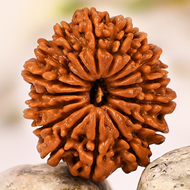 RUDRAKSHA